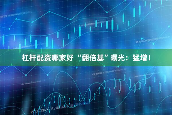 杠杆配资哪家好 “翻倍基”曝光：猛增！