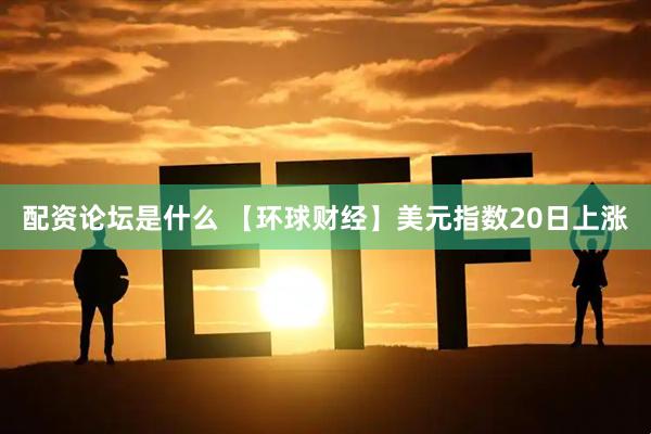 配资论坛是什么 【环球财经】美元指数20日上涨